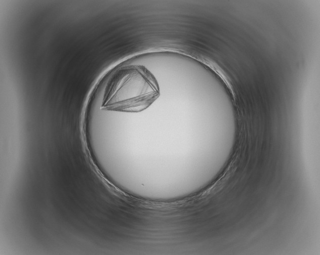 X0000116631072200912110956