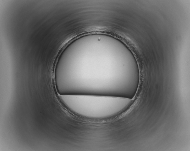 X0000116631073200912110956