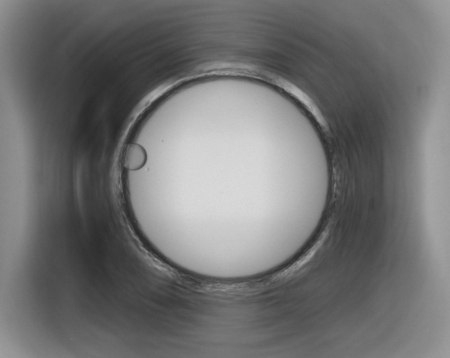 X0000116631074200912110956