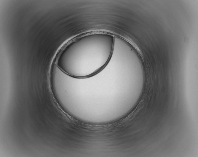 X0000116631076200912110956