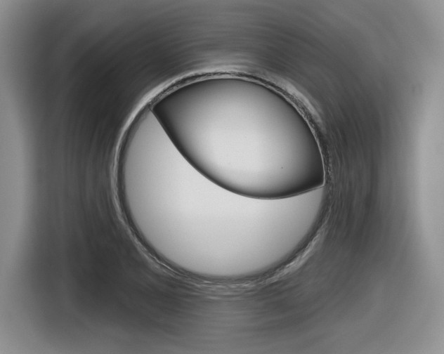 X0000116631077200912110956