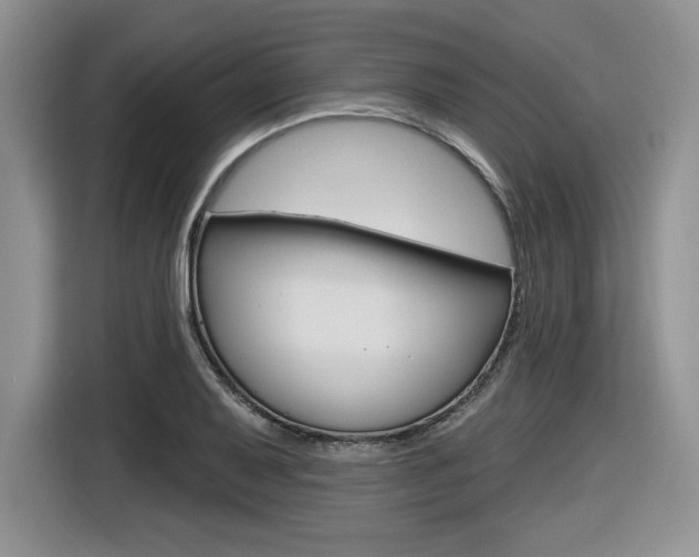 X0000116631079200912110956