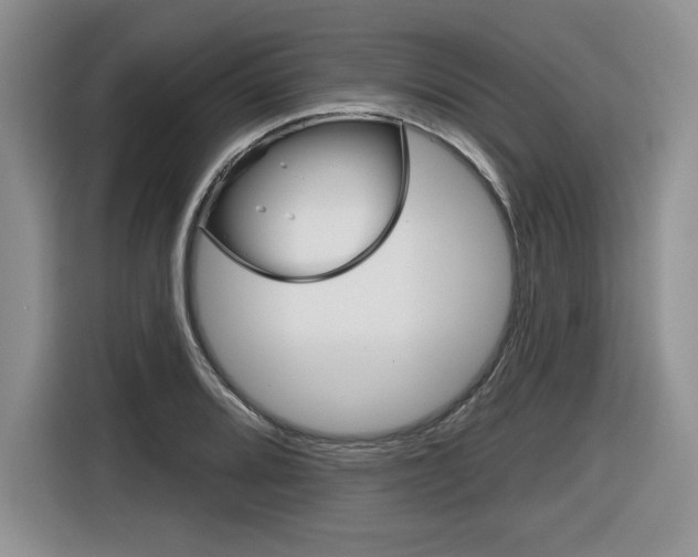 X0000116631080200912110956
