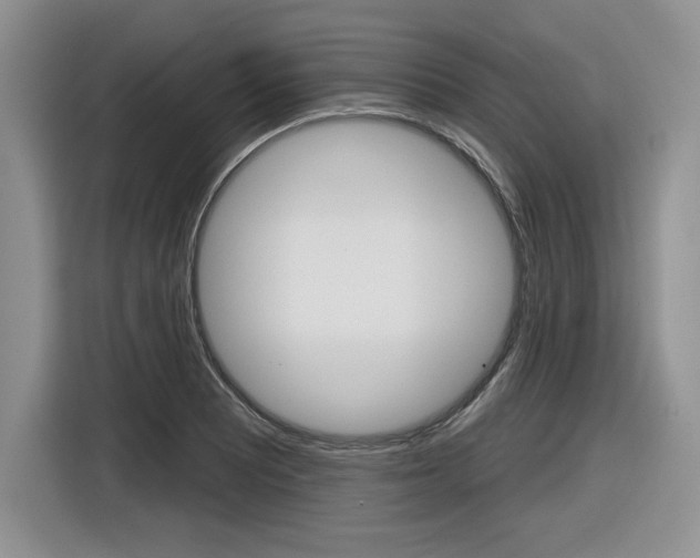 X0000116631081200912110956