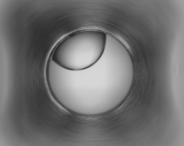 X0000116631084200912110956