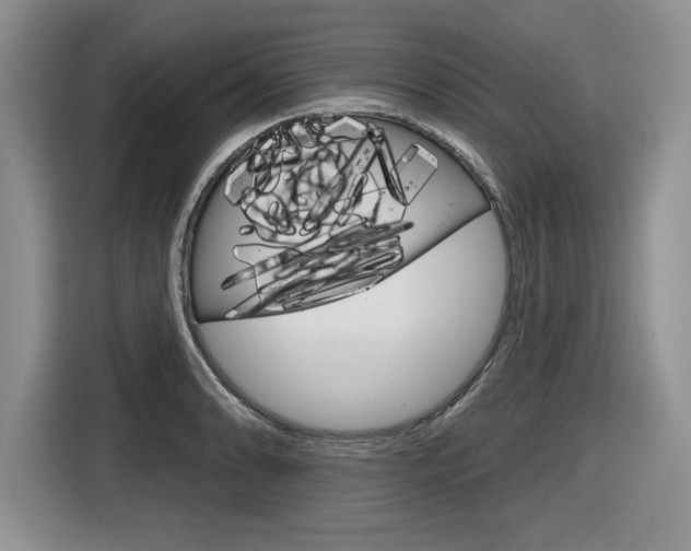 X0000116631086200912110956