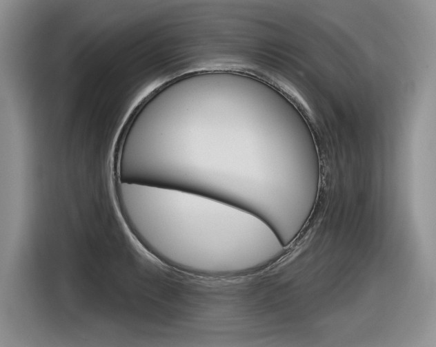 X0000116631087200912110956