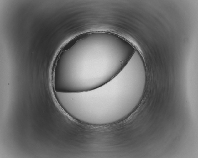 X0000116631088200912110956