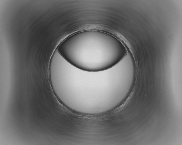 X0000116631089200912110956