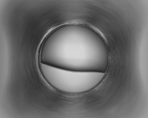 X0000116631091200912110956