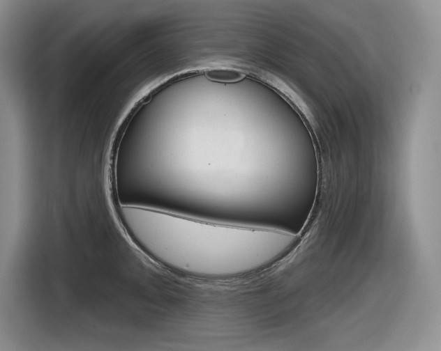 X0000116631093200912110956