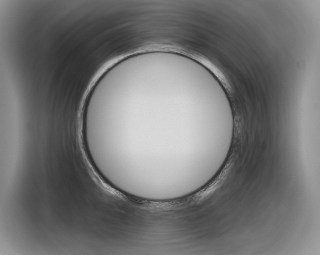 X0000116631094200912110956