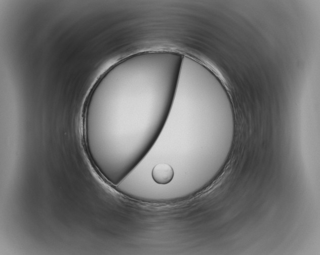 X0000116631095200912110956