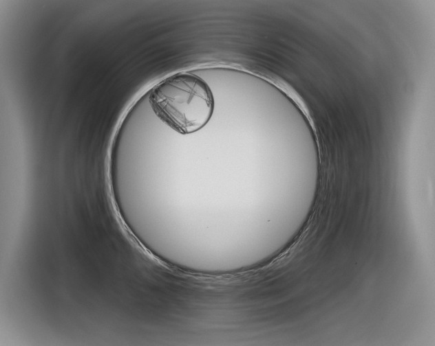 X0000116631096200912110956