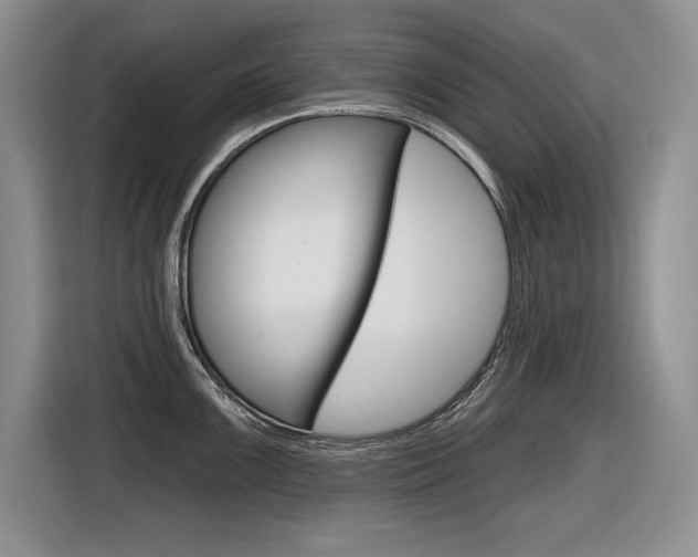 X0000116631099200912110956