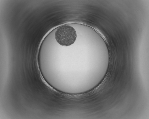 X0000116631100200912110956