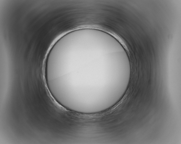 X0000116631102200912110956