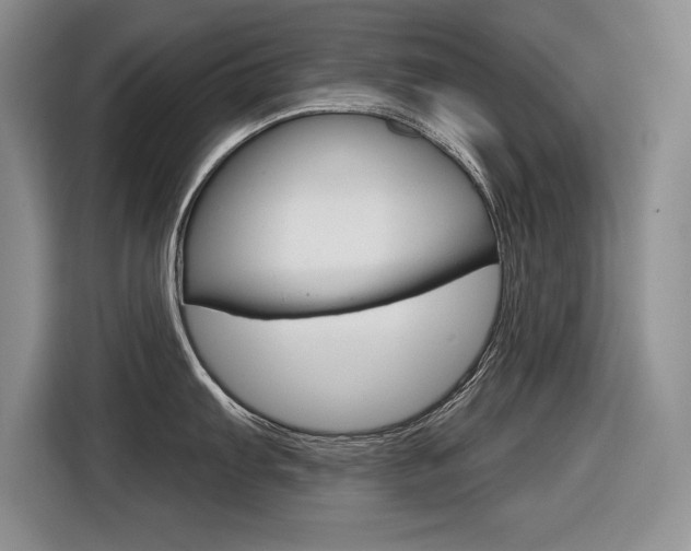 X0000116631103200912110956
