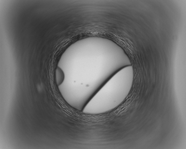 X0000116631105200912110955