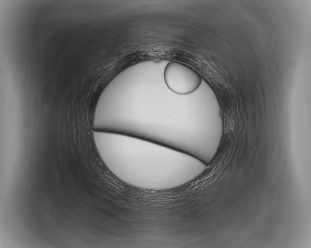 X0000116631106200912110955