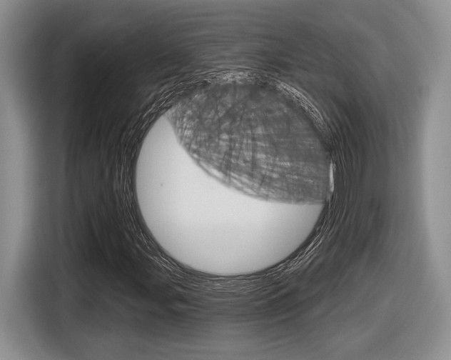 X0000116631107200912110955