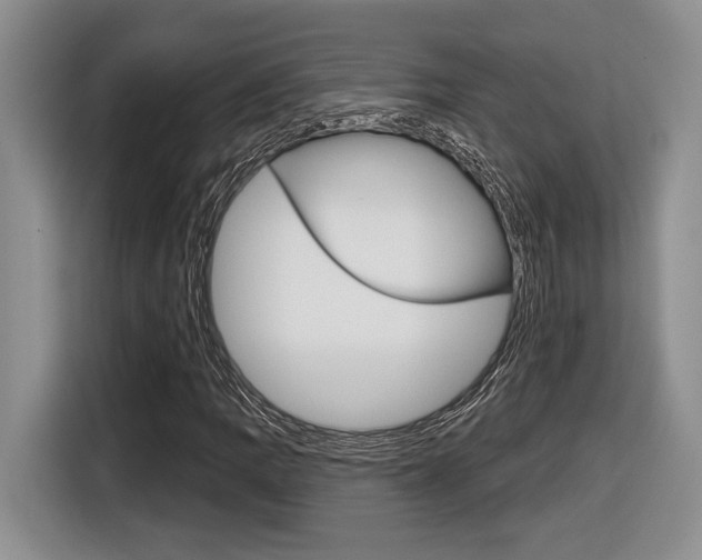 X0000116631109200912110955