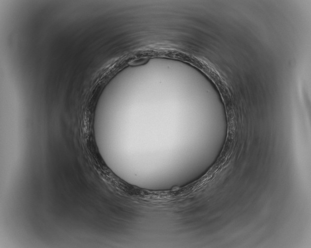 X0000116631110200912110955