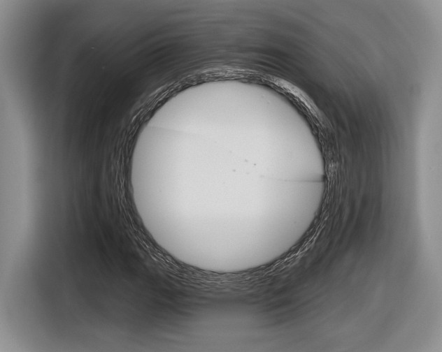 X0000116631111200912110955