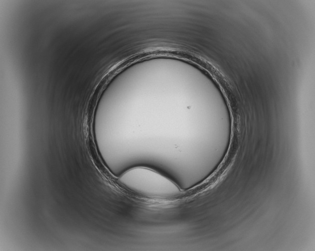 X0000116631113200912110955