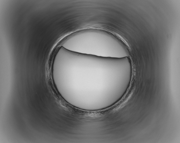X0000116631117200912110955