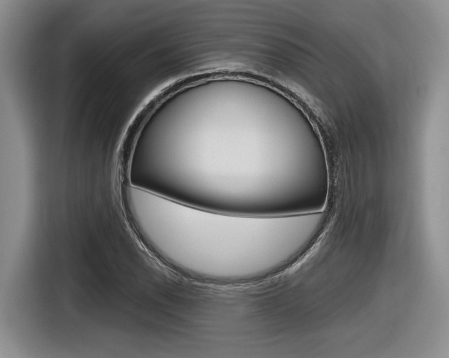 X0000116631118200912110955