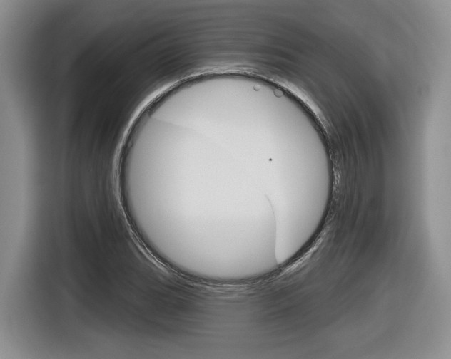 X0000116631119200912110955