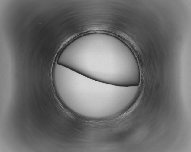 X0000116631121200912110955