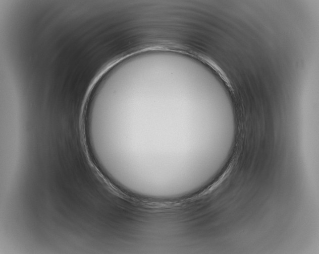 X0000116631122200912110955