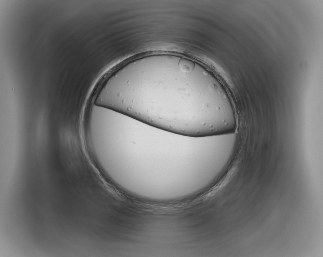 X0000116631125200912110955