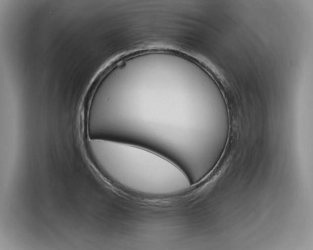 X0000116631126200912110955
