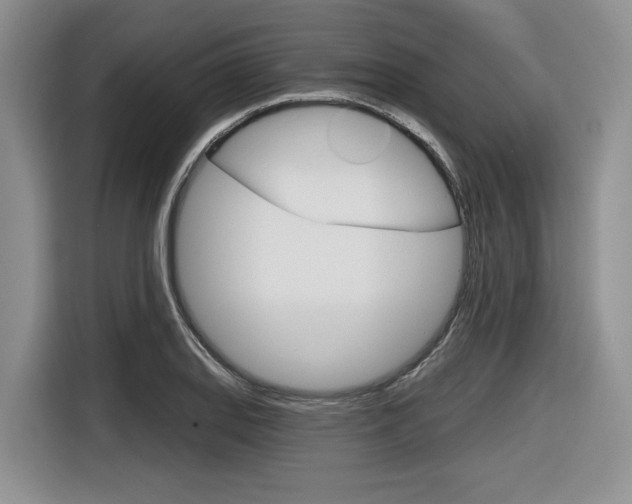 X0000116631127200912110955