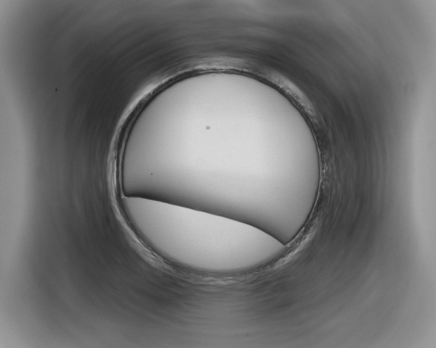X0000116631130200912110955