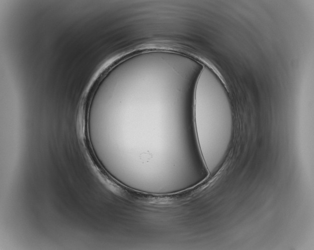 X0000116631131200912110955