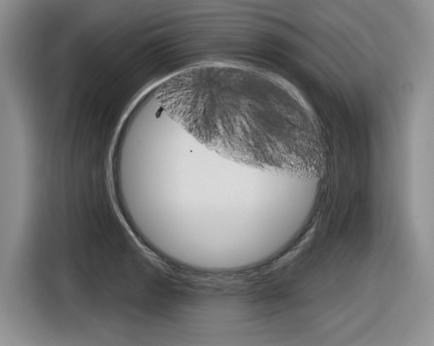 X0000116631133200912110955