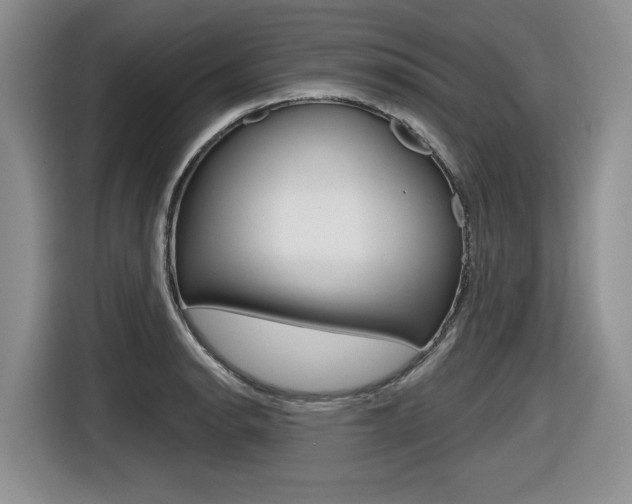 X0000116631134200912110955
