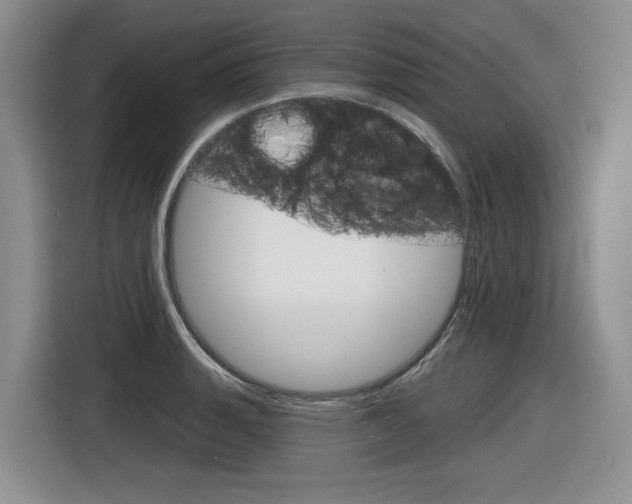 X0000116631135200912110955