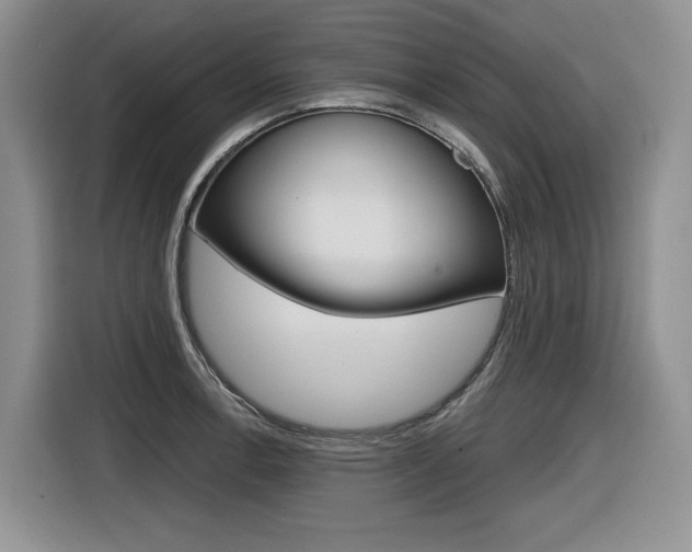 X0000116631138200912110955