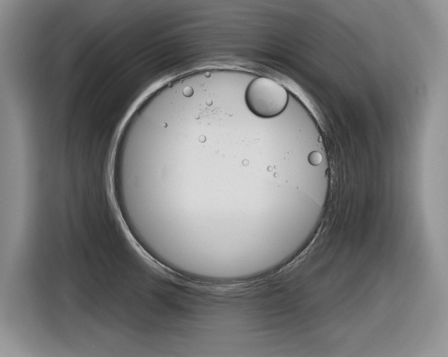 X0000116631139200912110955