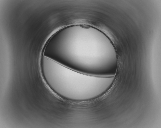 X0000116631142200912110955