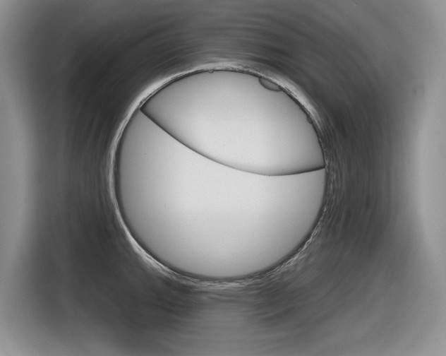 X0000116631143200912110955