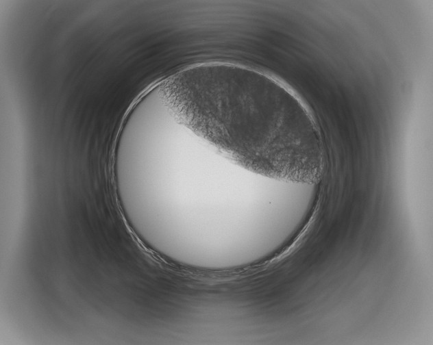X0000116631145200912110955