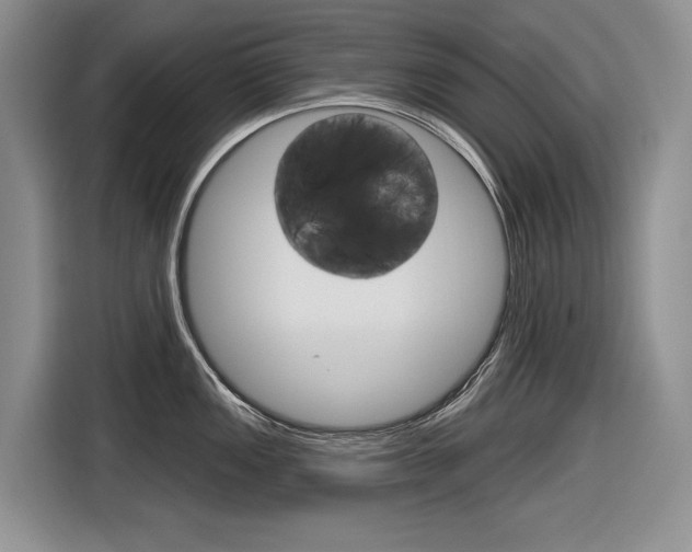 X0000116631149200912110956