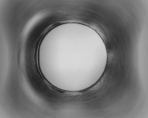 X0000116631150200912110956