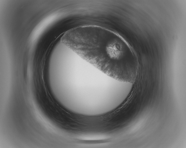 X0000116631151200912110956